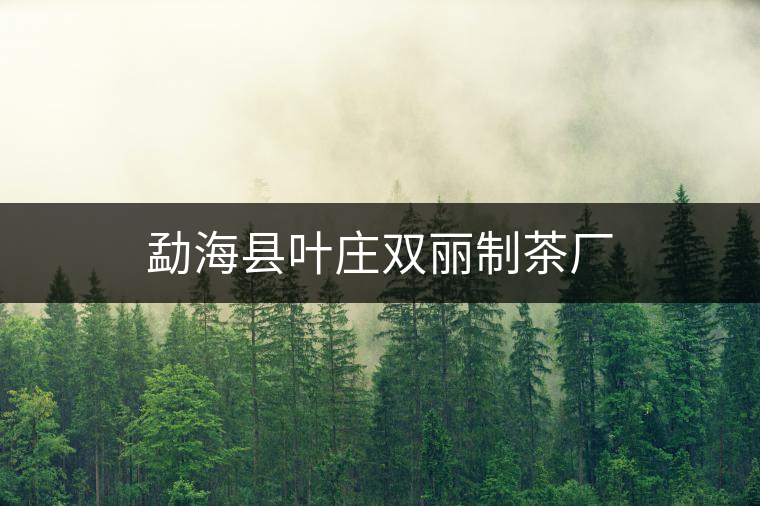 勐?？h葉莊雙麗制茶廠