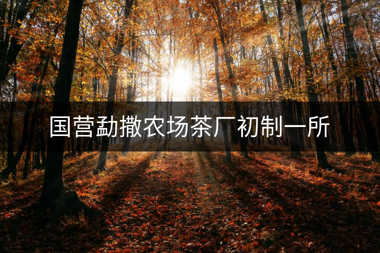 國營勐撒農(nóng)場(chǎng)茶廠初制一所