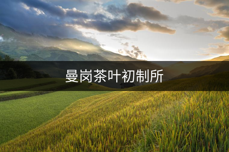 曼崗茶葉初制所 曼崗茶葉初制所
