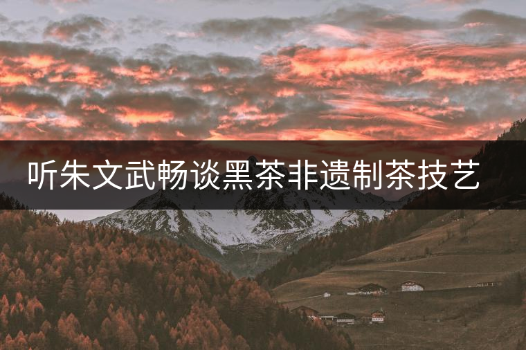 聽朱文武暢談黑茶非遺制茶技藝的市場的開拓之路 聽朱文武暢談黑茶非遺制茶技藝的市場的開拓之路