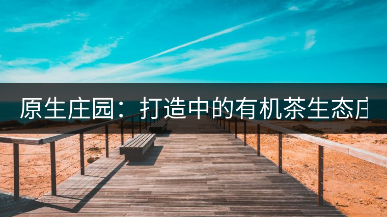 原生莊園：打造中的有機茶生態(tài)莊園（四）