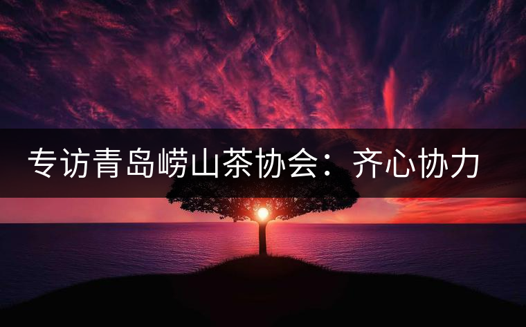 專訪青島嶗山茶協(xié)會(huì):齊心協(xié)力共謀茶壇盛事 專訪青島嶗山茶協(xié)會(huì):齊心協(xié)力共謀茶壇盛事