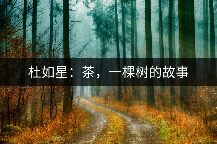 杜如星：茶，一棵樹的故事