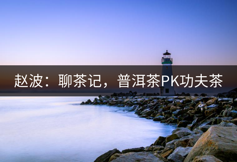 趙波：聊茶記，普洱茶PK功夫茶