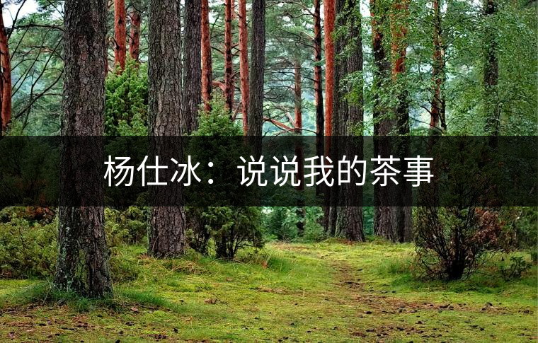 楊仕冰:說說我的茶事 楊仕冰:說說我的茶事