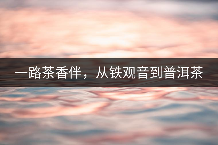 一路茶香伴，從鐵觀音到普洱茶