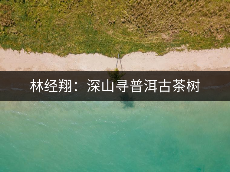 林經(jīng)翔：深山尋普洱古茶樹