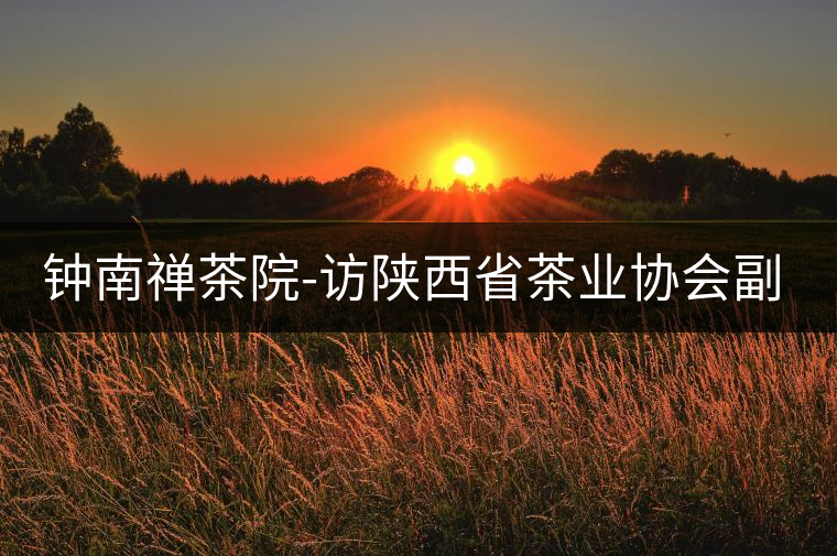 鐘南禪茶院-訪陜西省茶業(yè)協(xié)會副秘書長楊元 鐘南禪茶院-訪陜西省茶業(yè)協(xié)會副秘書長楊元