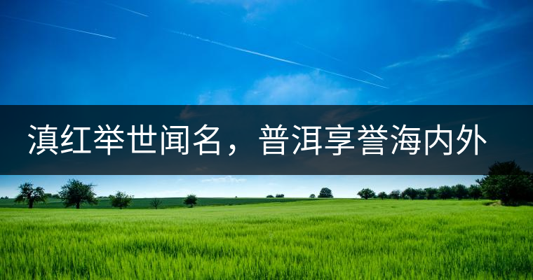 滇紅舉世聞名，普洱享譽(yù)海內(nèi)外丨專(zhuān)家座談——虞富蓮