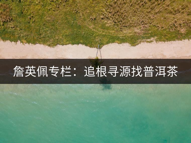 詹英佩專(zhuān)欄:追根尋源找普洱茶 詹英佩專(zhuān)欄:追根尋源找普洱茶