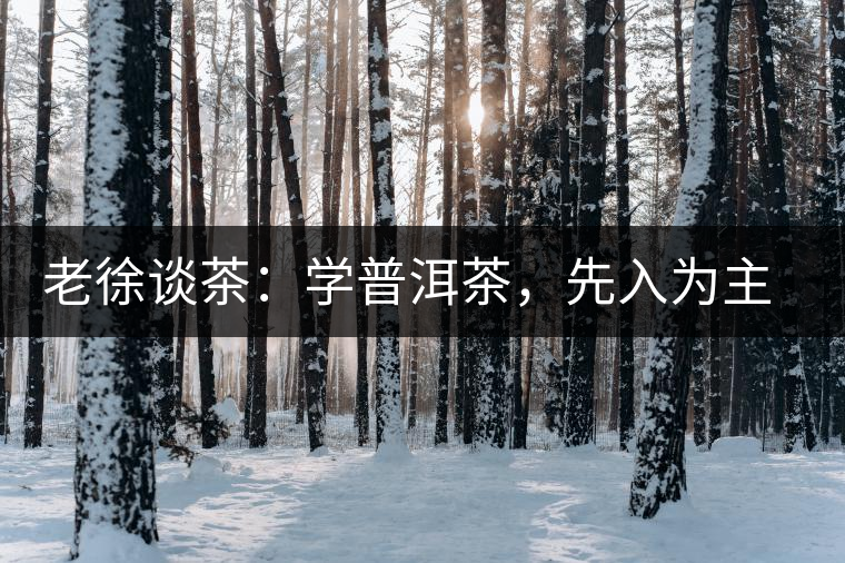 老徐談茶：學(xué)普洱茶，先入為主易被打臉，還得實(shí)踐出真知！