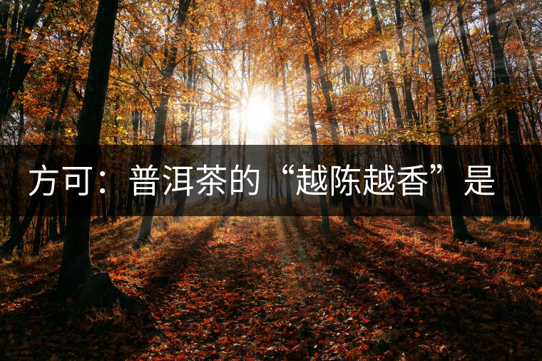 方可：普洱茶的“越陳越香”是有條件、有技術(shù)的