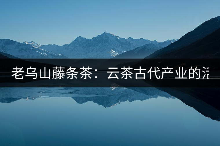 老烏山藤條茶:云茶古代產(chǎn)業(yè)的活見(jiàn)證(1) 老烏山藤條茶:云茶古代產(chǎn)業(yè)的活見(jiàn)證(1)