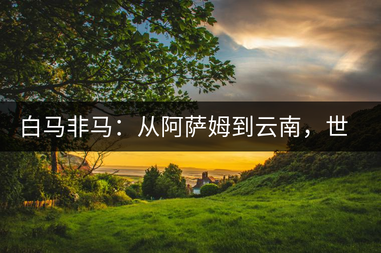 白馬非馬：從阿薩姆到云南，世界茶樹起源爭論的誤區(qū)