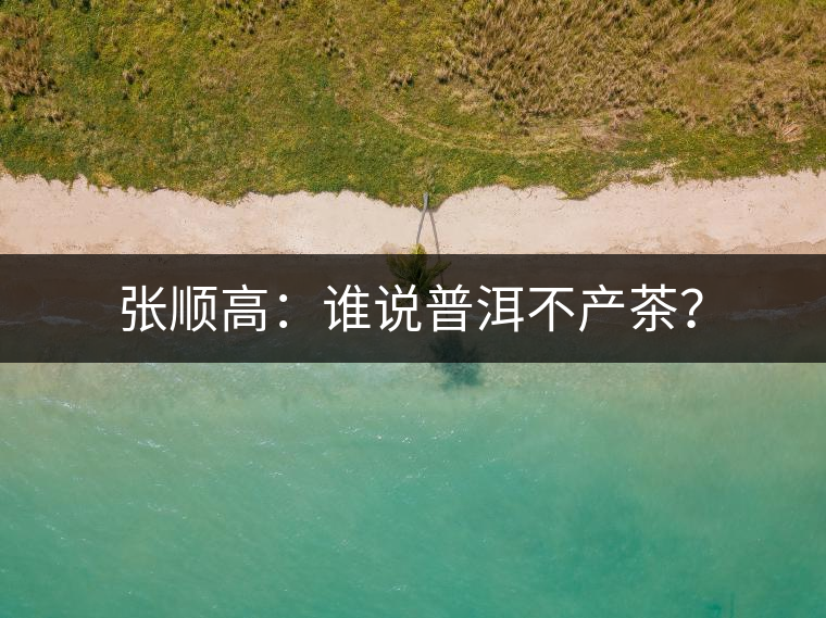 張順高：誰說普洱不產(chǎn)茶？