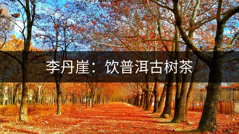 李丹崖：飲普洱古樹(shù)茶