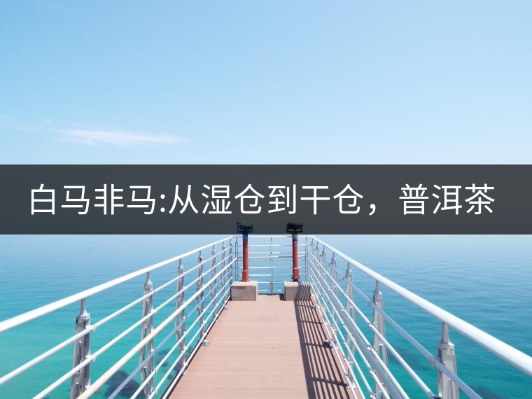 白馬非馬:從濕倉(cāng)到干倉(cāng),普洱茶倉(cāng)儲(chǔ)的進(jìn)化史 白馬非馬:從濕倉(cāng)到干倉(cāng),普洱茶倉(cāng)儲(chǔ)的進(jìn)化史