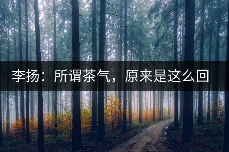 李揚：所謂茶氣，原來是這么回事