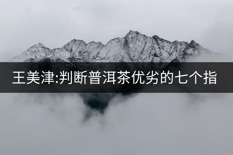 王美津:判斷普洱茶優(yōu)劣的七個指標之“質(zhì)”