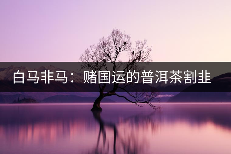 白馬非馬:賭國運的普洱茶割韭菜運動 白馬非馬:賭國運的普洱茶割韭菜運動