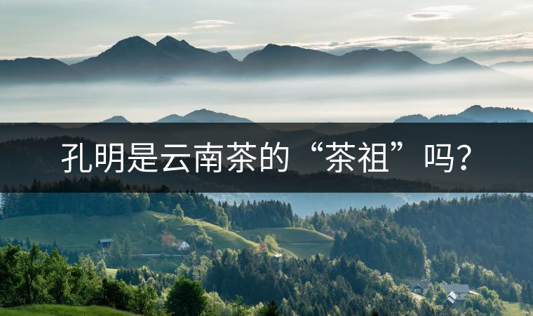 孔明是云南茶的“茶祖”嗎？