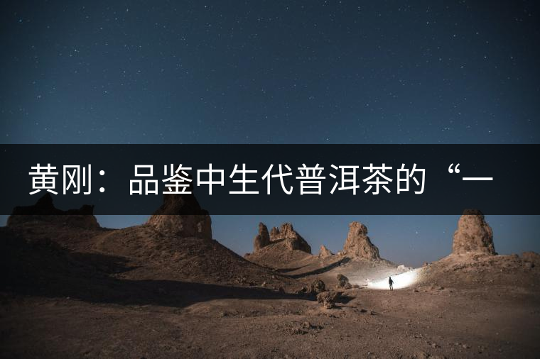 黃剛:品鑒中生代普洱茶的“一二三四五法” 黃剛:品鑒中生代普洱茶的“一二三四五法”
