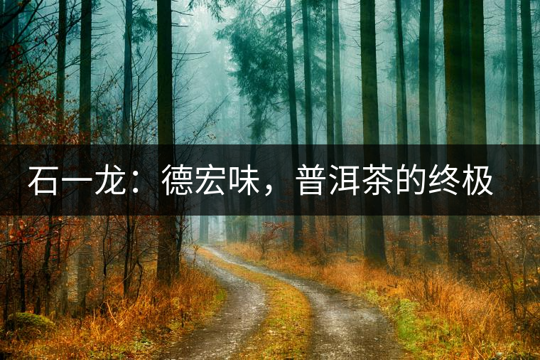 石一龍：德宏味，普洱茶的終極意境
