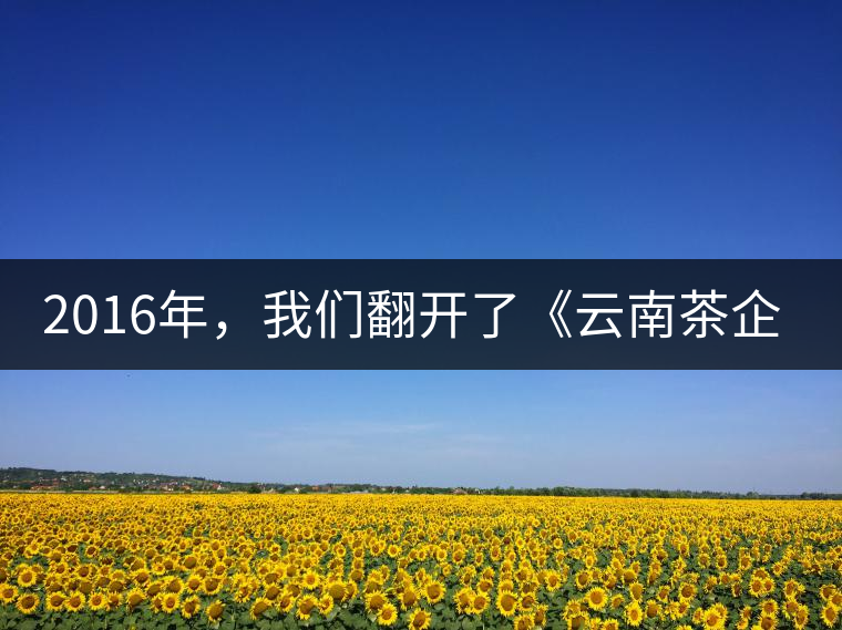 2016年，我們翻開(kāi)了《云南茶企發(fā)展白皮書(shū)》