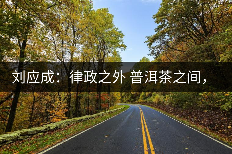 劉應(yīng)成：律政之外 普洱茶之間，在峨毛茶上的三個首創(chuàng)