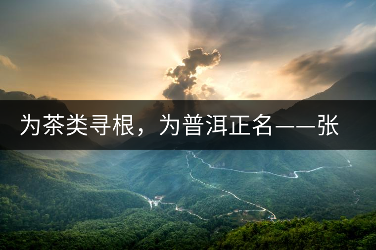 為茶類尋根，為普洱正名——張宏達(dá)的普洱茶研究