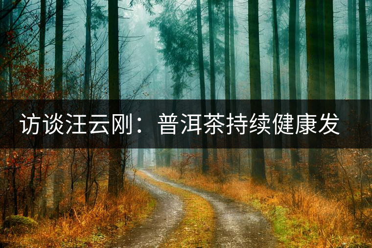 訪(fǎng)談汪云剛：普洱茶持續(xù)健康發(fā)展之路