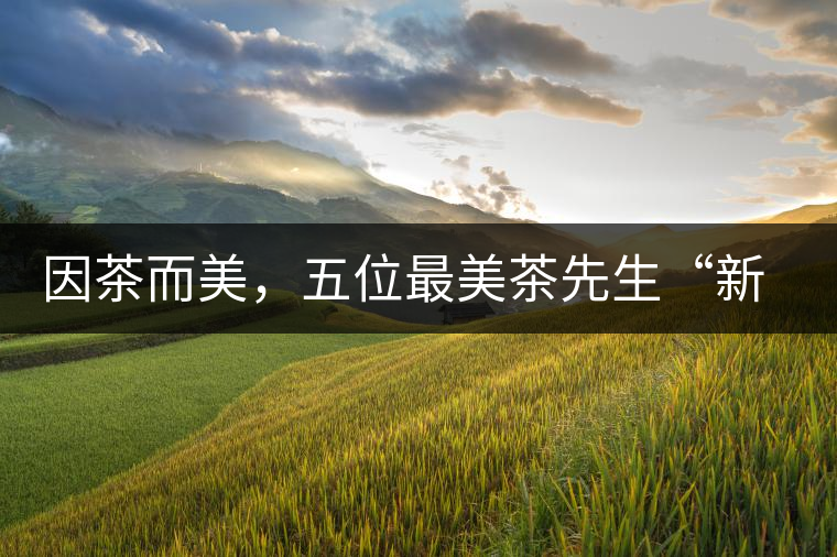 因茶而美，五位最美茶先生“新鮮出爐”啦
