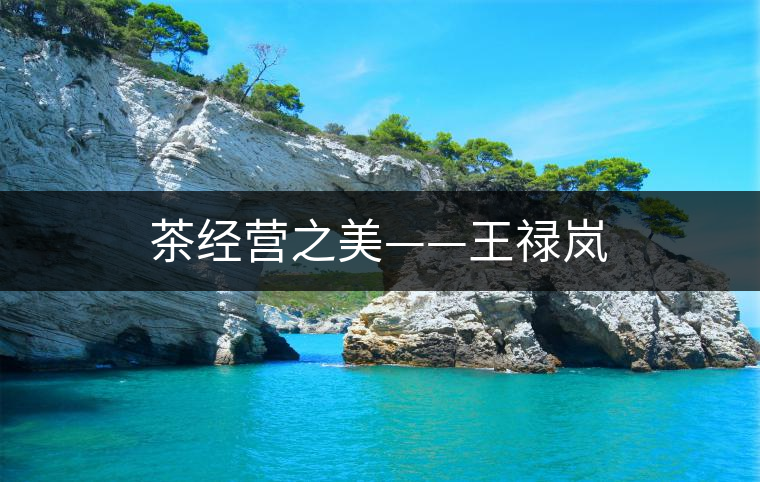茶經(jīng)營(yíng)之美——王祿嵐 茶經(jīng)營(yíng)之美——王祿嵐