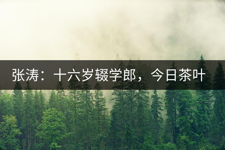 張濤：十六歲輟學(xué)郎，今日茶葉中堅(jiān)