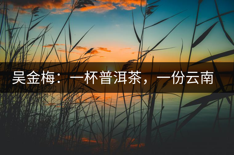 吳金梅：一杯普洱茶，一份云南情