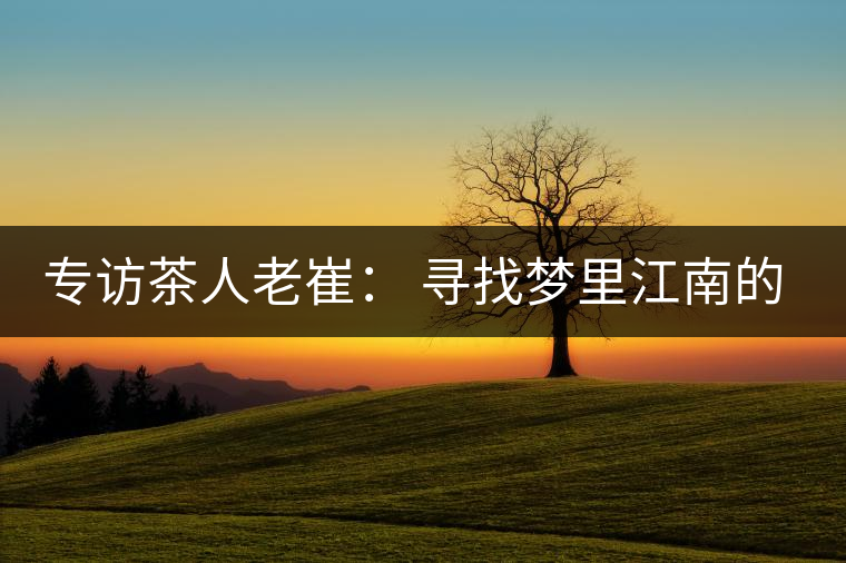 專訪茶人老崔: 尋找夢里江南的茶園茶 專訪茶人老崔: 尋找夢里江南的茶園茶