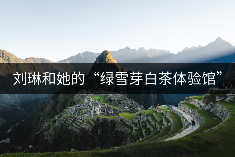 劉琳和她的“綠雪芽白茶體驗(yàn)館” 劉琳和她的“綠雪芽白茶體驗(yàn)館”