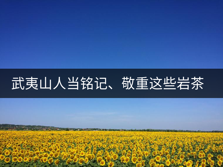 武夷山人當(dāng)銘記、敬重這些巖茶功臣