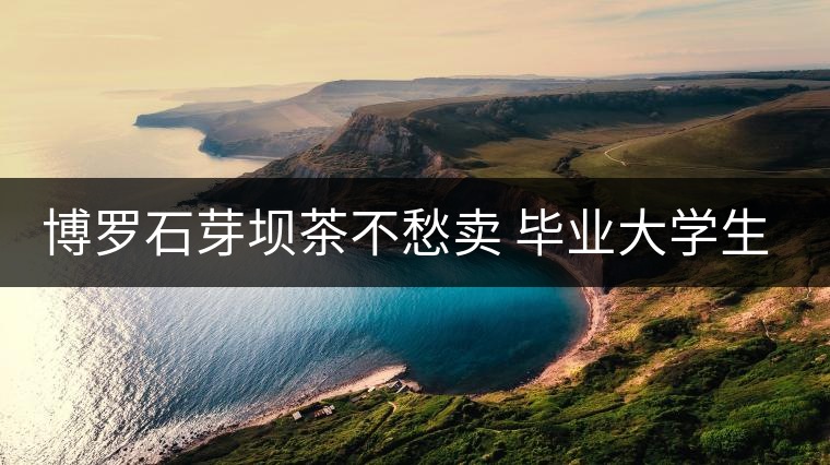 博羅石芽壩茶不愁賣 畢業(yè)大學生返鄉(xiāng)種茶 博羅石芽壩茶不愁賣 畢業(yè)大學生返鄉(xiāng)種茶