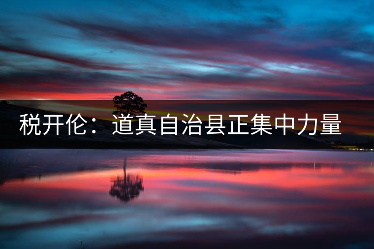 稅開(kāi)倫：道真自治縣正集中力量打造“中國(guó)硒鍶茶鄉(xiāng)”