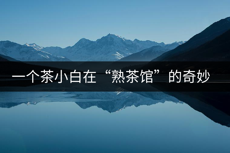 一個茶小白在“熟茶館”的奇妙體驗之旅 一個茶小白在“熟茶館”的奇妙體驗之旅