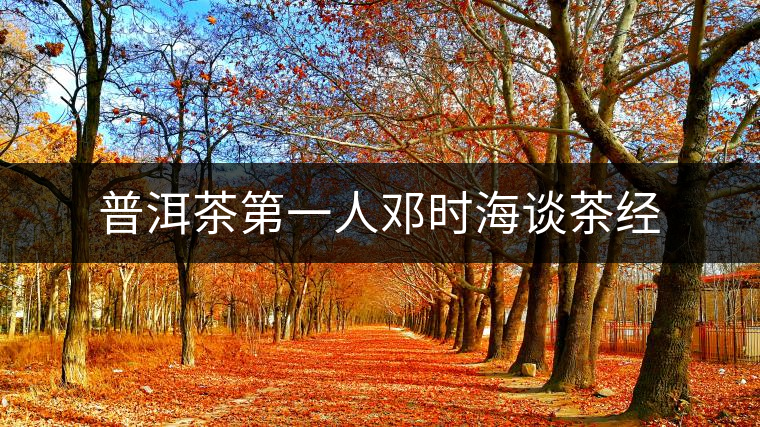 普洱茶第一人鄧時海談茶經