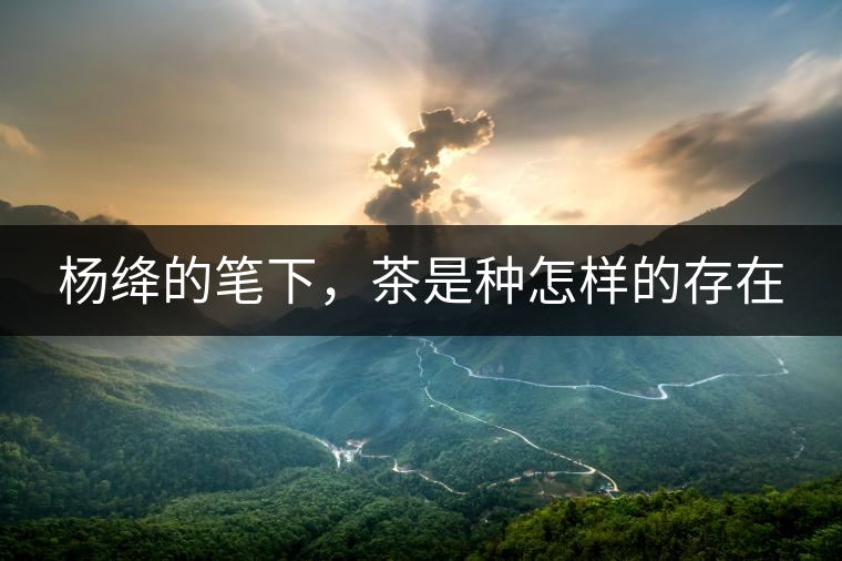 楊絳的筆下，茶是種怎樣的存在