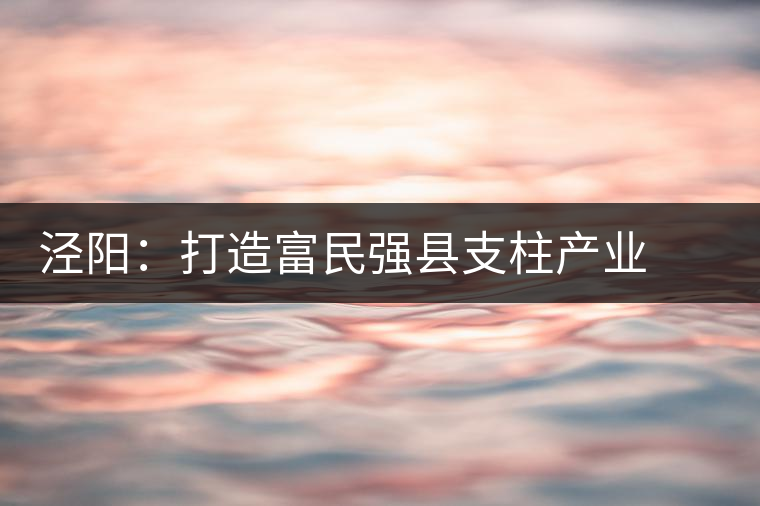 涇陽:打造富民強(qiáng)縣支柱產(chǎn)業(yè) ——訪陜西省涇陽縣副縣長(zhǎng)謝保衛(wèi) 涇陽:打造富民強(qiáng)縣支柱產(chǎn)業(yè) ——訪陜西省涇陽縣副縣長(zhǎng)謝保衛(wèi)