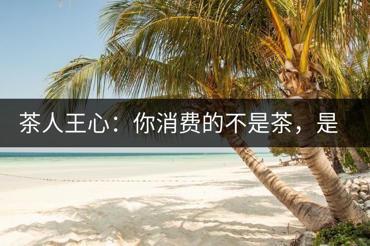茶人王心：你消費(fèi)的不是茶，是我