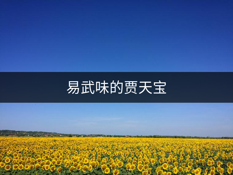 易武味的賈天寶