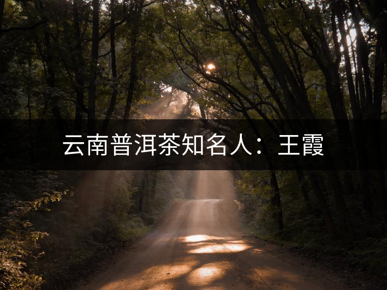 云南普洱茶知名人：王霞