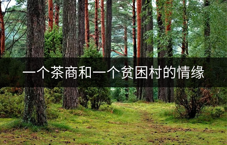一個茶商和一個貧困村的情緣 一個茶商和一個貧困村的情緣