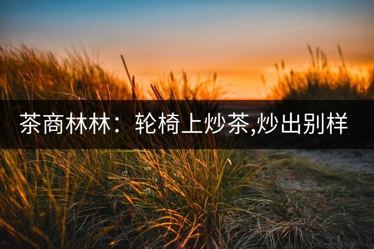 茶商林林：輪椅上炒茶,炒出別樣的一生！