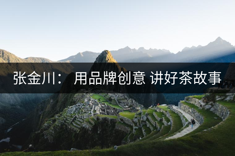 張金川: 用品牌創(chuàng)意 講好茶故事 張金川: 用品牌創(chuàng)意 講好茶故事